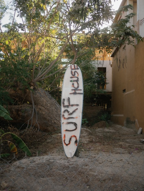 Top Surf Hostels in Gran Canaria